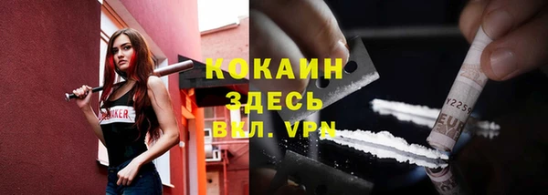 молекула духа Алексин