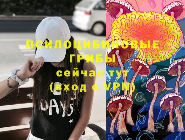 jwh Алзамай
