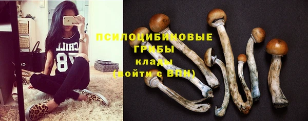 дурь Алексеевка