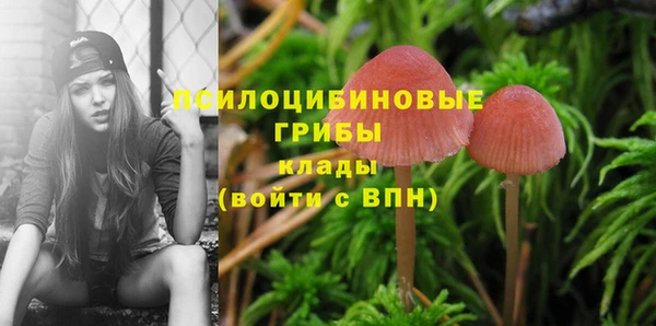 jwh Алзамай