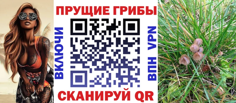 магазин  наркотиков  Воткинск  Псилоцибиновые грибы MAGIC MUSHROOMS 