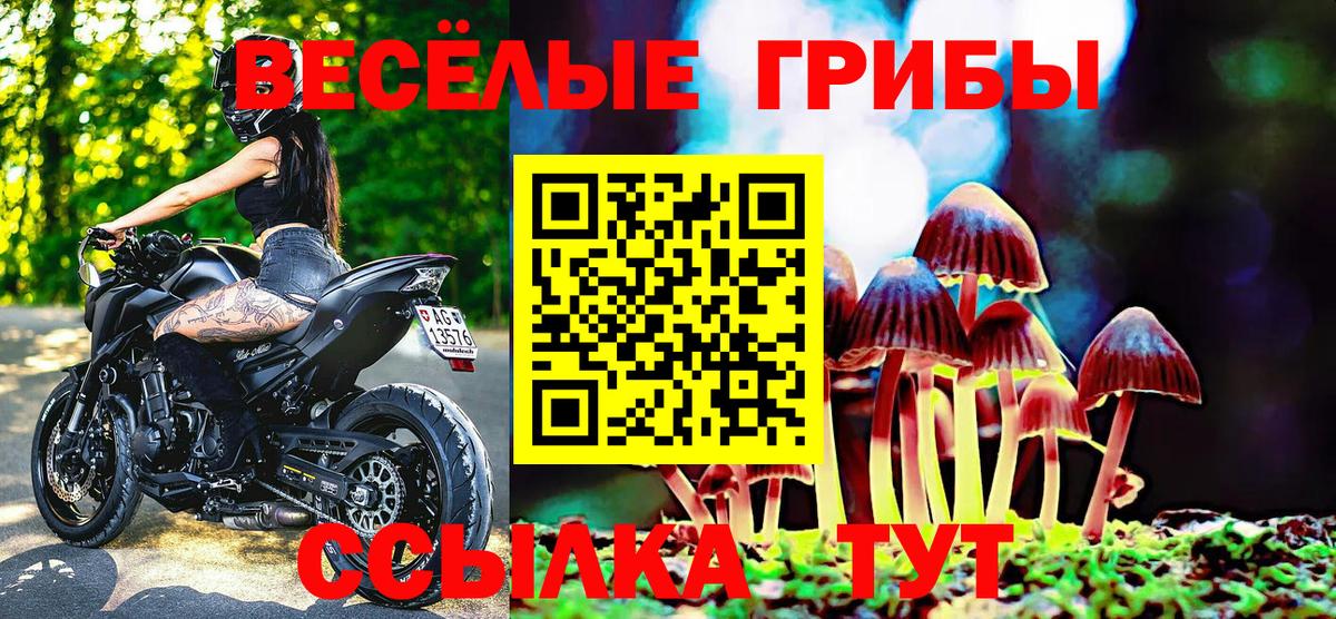 Псилоцибиновые грибы Cubensis Воткинск